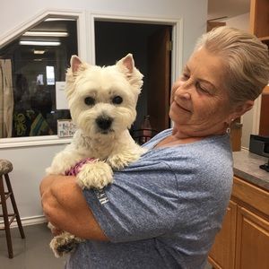 Meet your Posher, Janete